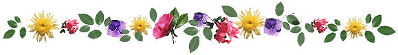 flwrbar.gif (13556 bytes)